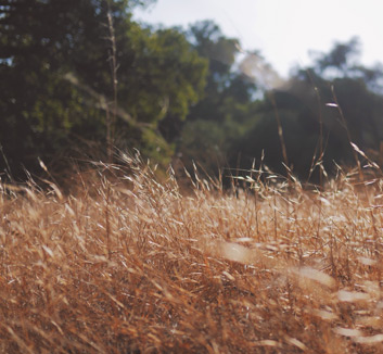 意外之赛：塞维利亚在客场获得惊人胜利